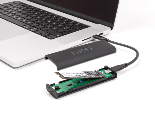 DELOCK θήκη για M.2 NVMe PCIe/SATA SSD 42031, 20Gbps, tool free, μαύρη - Image 2