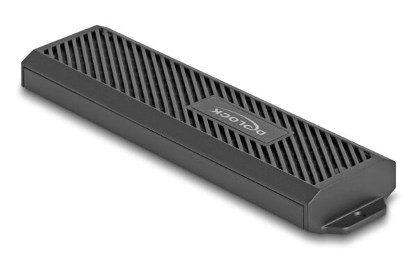 DELOCK θήκη για M.2 NVMe PCIe/SATA SSD 42031, 20Gbps, tool free, μαύρη - Image 4