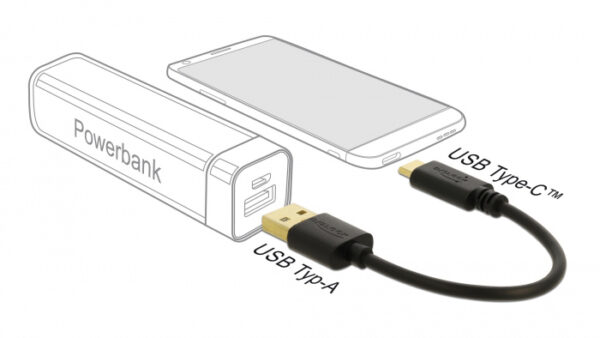 DELOCK καλώδιο USB σε USB-C 85354, 15W, 22AWG, 0.15m, μαύρο - Image 2