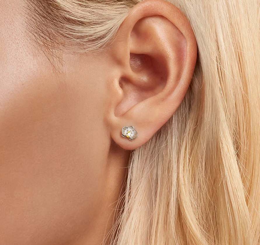 BAMOER σκουλαρίκια καρφωτά BSE1170 με κυβική ζιρκόνια, ασήμι 925, ασήμι - Image 2