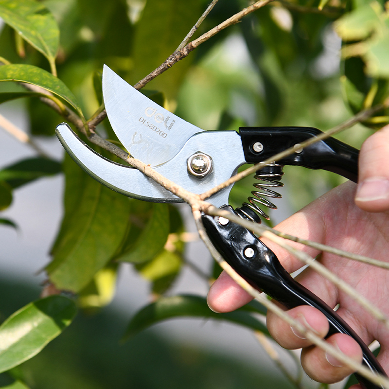 DELI κλαδευτήρι DL580200 με μέγιστη διάμετρο κοπής 14mm, 200mm - Image 3