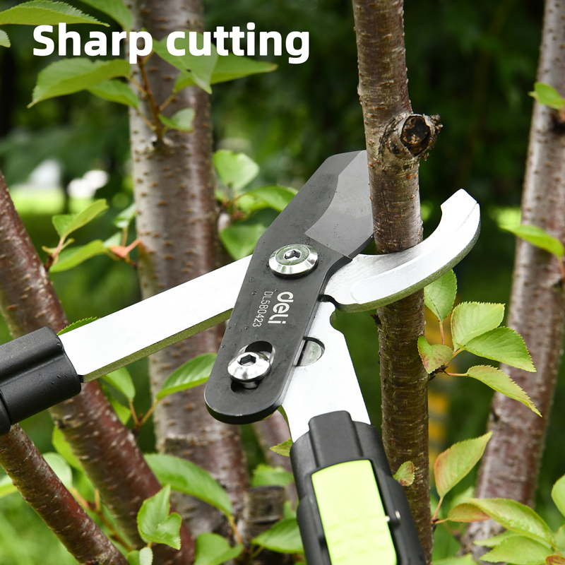 DELI ψαλίδι κλάδου DL580423 για κλαδιά έως 25mm, πτυσσόμενο, 630-870mm - Image 2